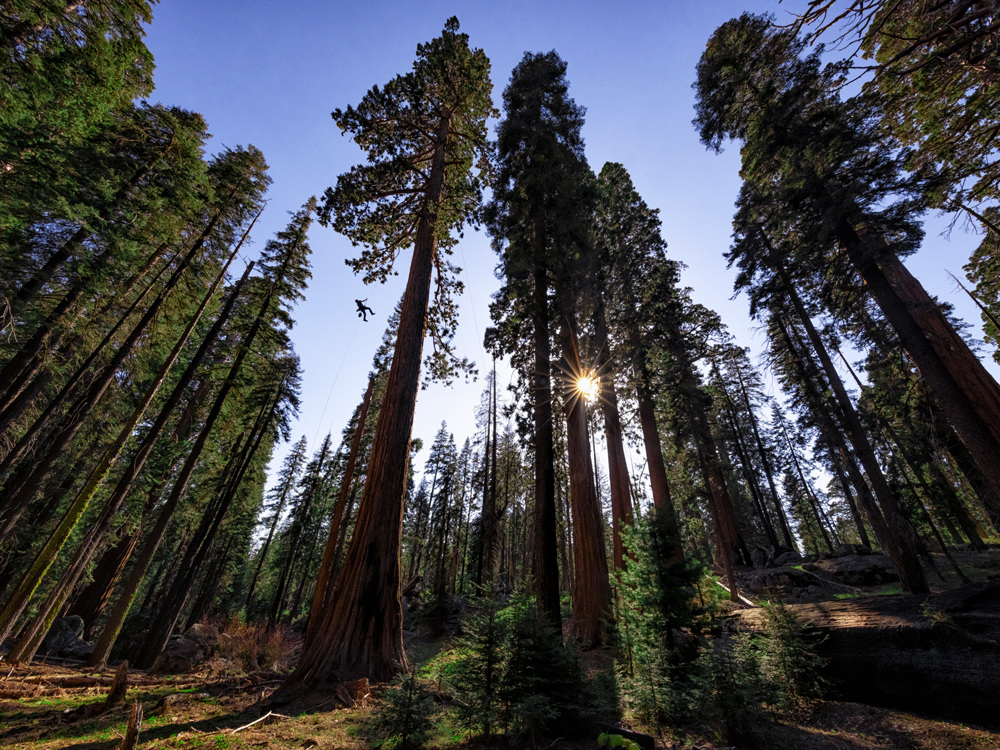 NGL_Roots_cr-Keith-Ladzinski---National-Geographic_4x3